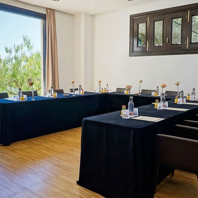 hotel-hospes-maricel-sala-divum-U
