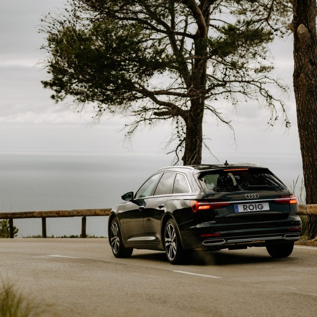 ROIGRentaCar+Audi