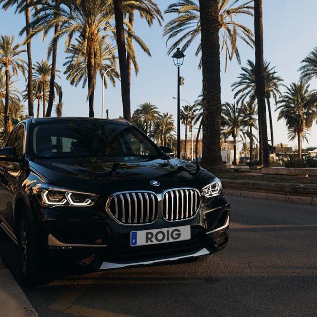 ROIGRentaCar+BMW