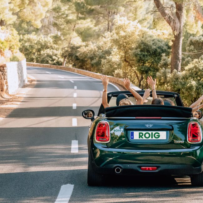 ROIGRentaCar+minicabrio