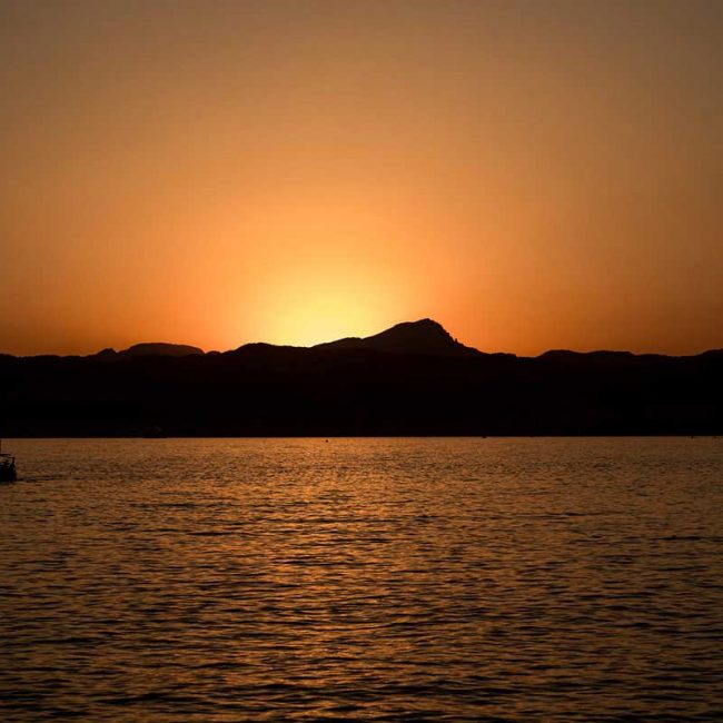 puro-beach-palma-02