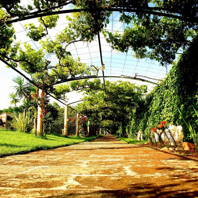 aumalla-JARDIN-PISCINA-5