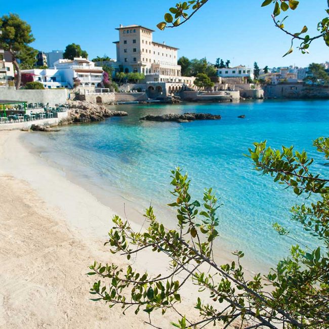 calvia-02-BUGUENVILLIA,-CAS-CATALa