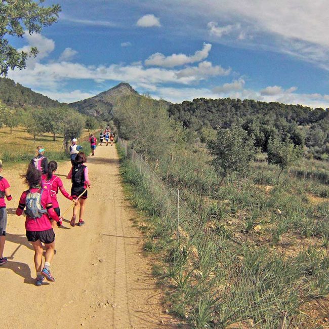calvia-Galatzó-Trail---06