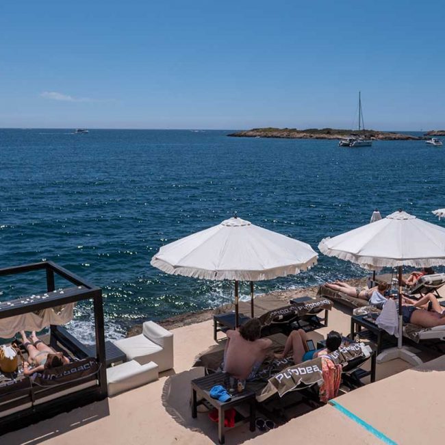calvia-P1377452