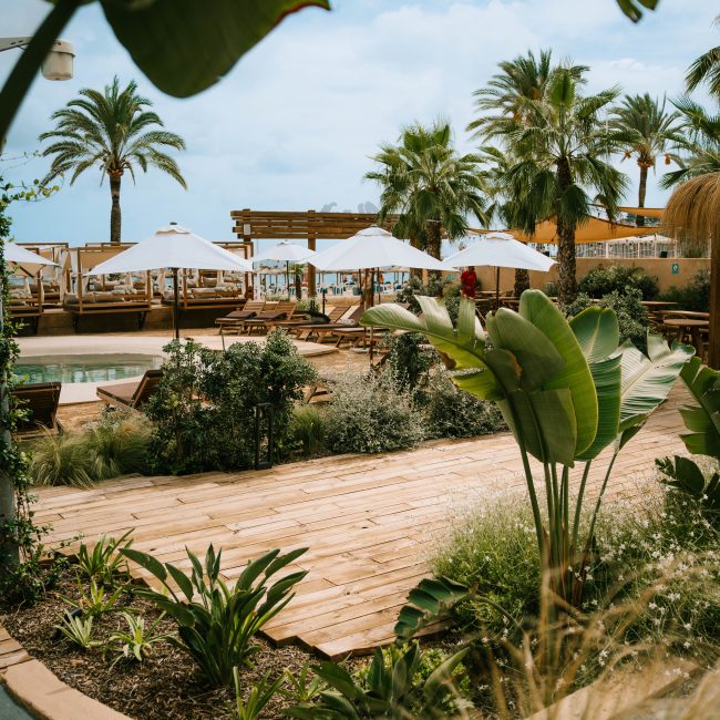Hadleys Club Mallorca_Beach Club