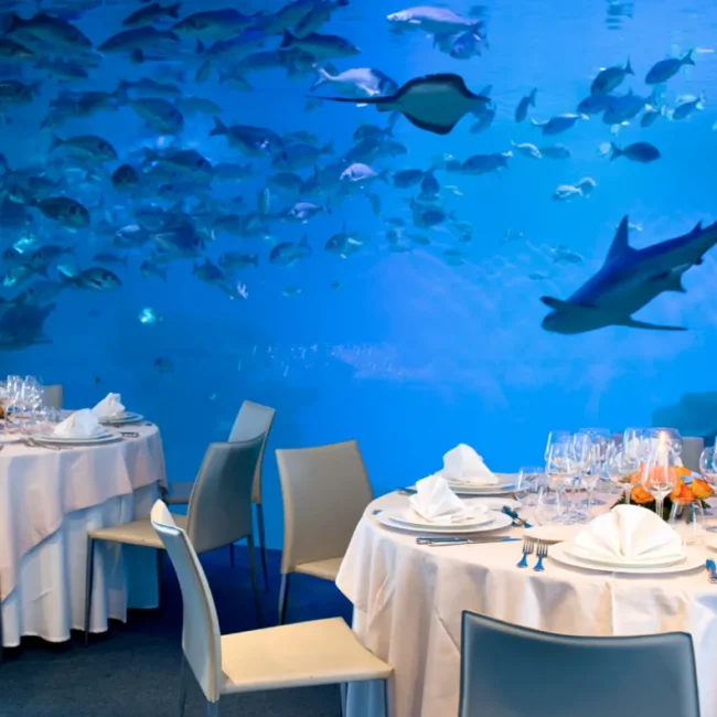 BIG BLUE - Gala Dinner