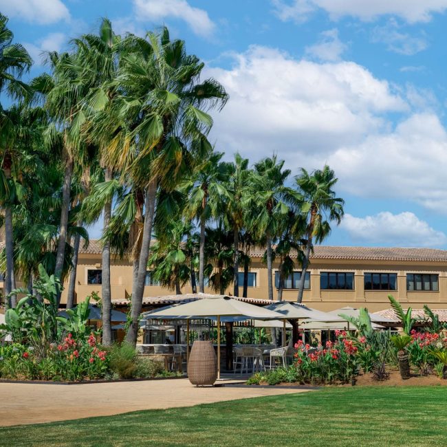 Terraza Palmeras - Hacienda Son Antem